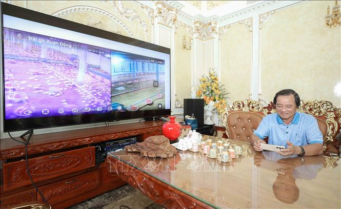 Ông Lê Văn Quyết, Giám đốc HTX Nông nghiệp công nghệ cao Long Thành Phát, Phó chủ tịch Hiệp hội Chăn nuôi Đồng Nai, điều chỉnh hệ thống chuồng lạnh tự động chăn nuôi gà từ xa qua hệ thống camera giám sát. (Ảnh: Phan Phương/TTXVN)